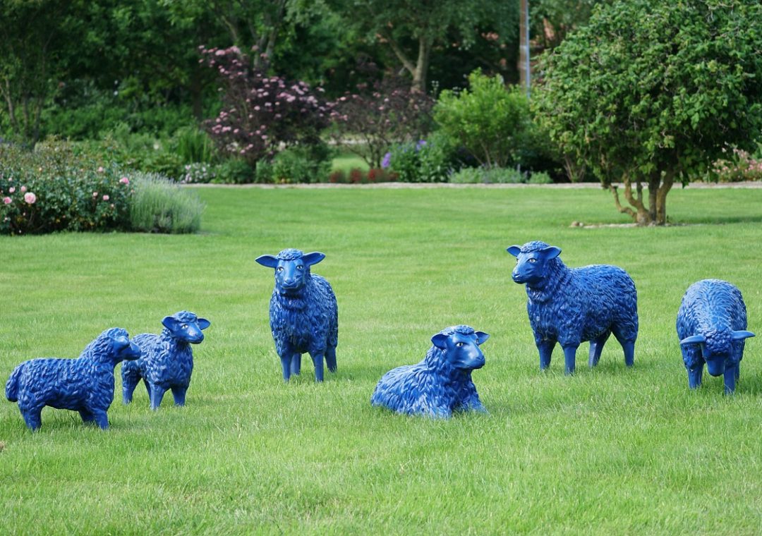 sheep-5443406_1280